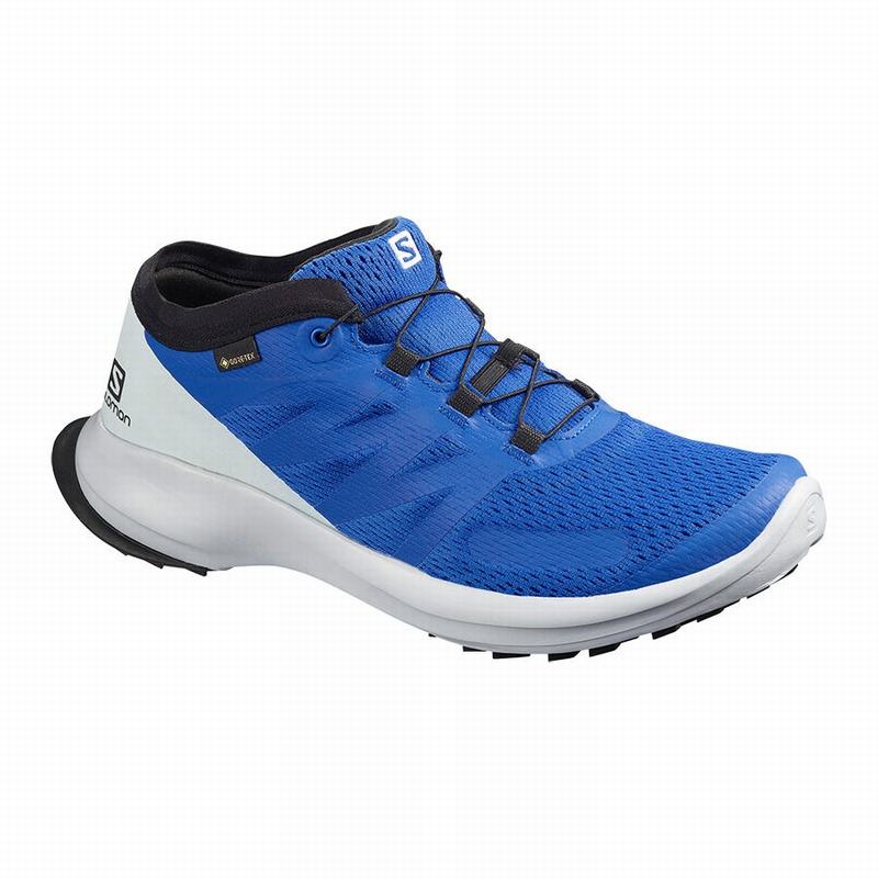 Salomon Singapore Mens Trail Running Shoes - SENSE FLOW GTX Blue | 12365-FPBG